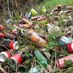 17 AVRIL : Ramassage des déchets à Dullin