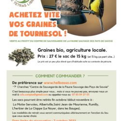 Commandes groupées de graines pour les oiseaux